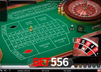 Cassino ao vivo com dealers reais na Bet556